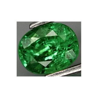 0.73 ct. Natural green Garnet Tsavorite loose gemstone oval cut-692
